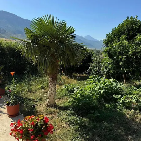 360° View Lägenhet