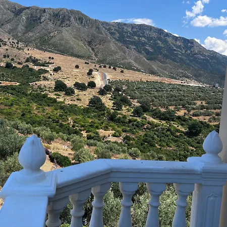 360° View