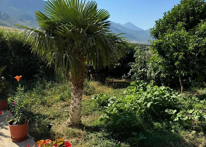 360° View Appartement